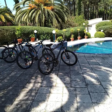 Palmeiras Mit Grossem Schwimmbad By Interhome Aroeira (Setubal)